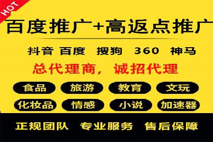 短视频平台上的信息流广告投放效果分析