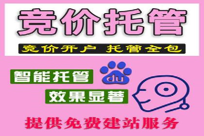 精选案例分享：SEM代运营公司效果展示